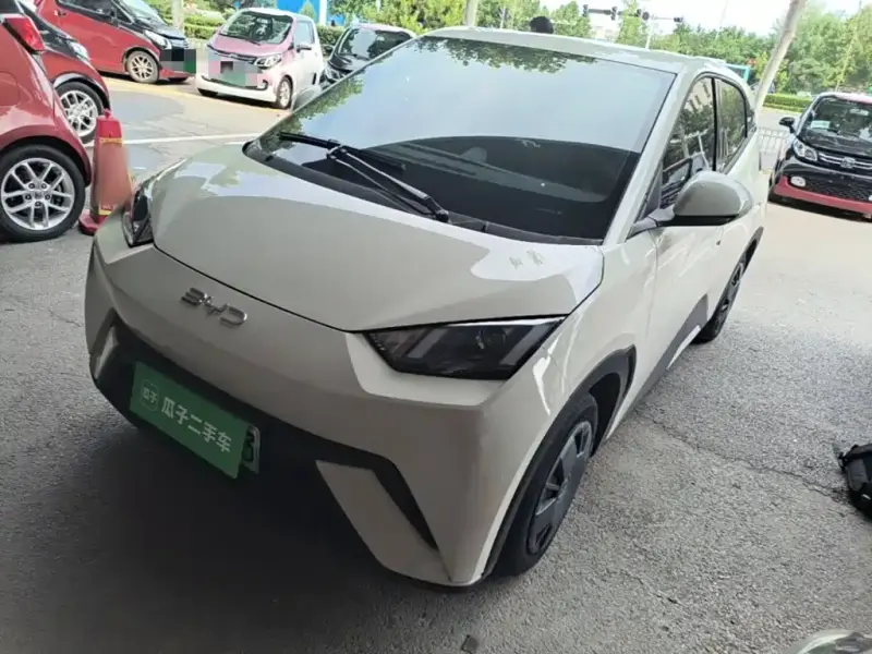 BYD Seagull