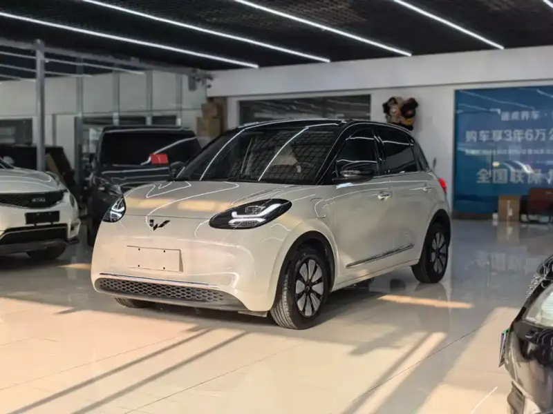 Wuling Bingo