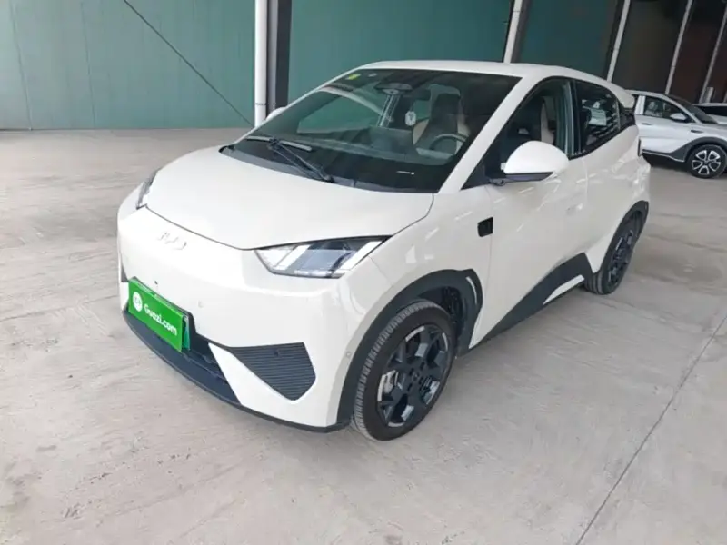 BYD Seagull
