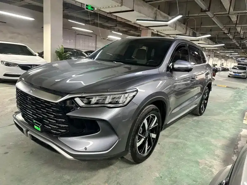 BYD Pro New Energy