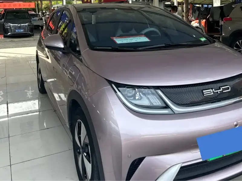BYD Dolphin