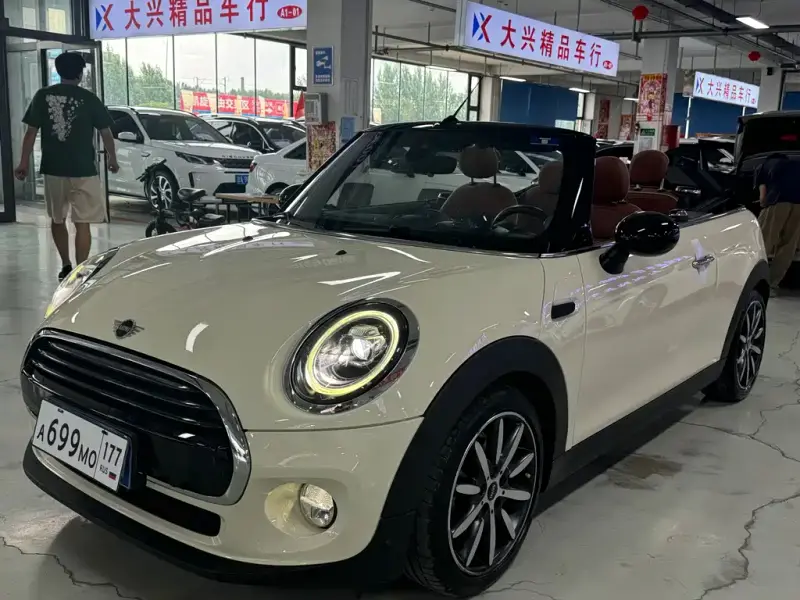 MINI Mini