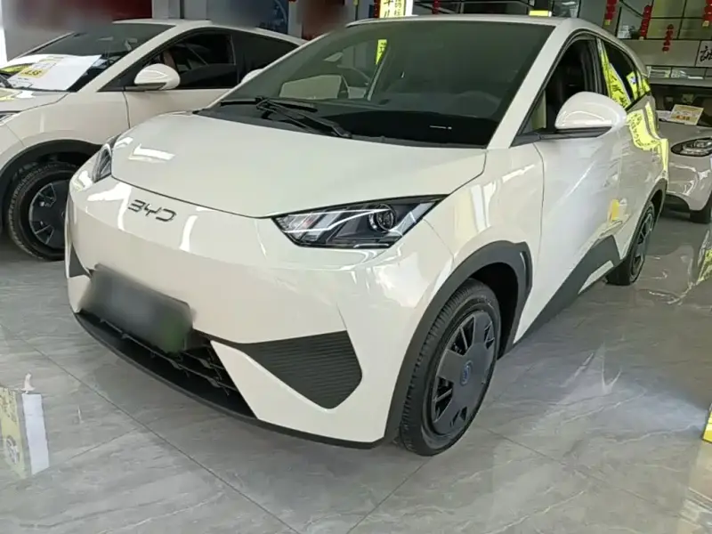 BYD Seagull