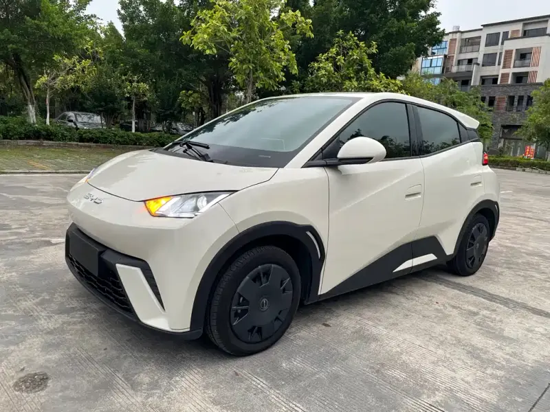 BYD Seagull