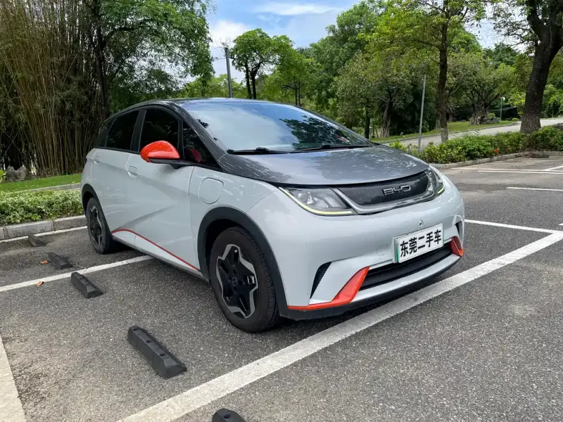 BYD Dolphin