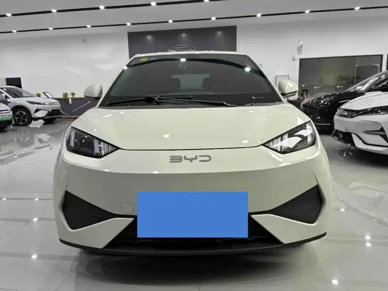 BYD Seagull