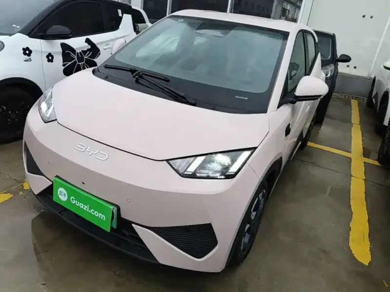 BYD Seagull