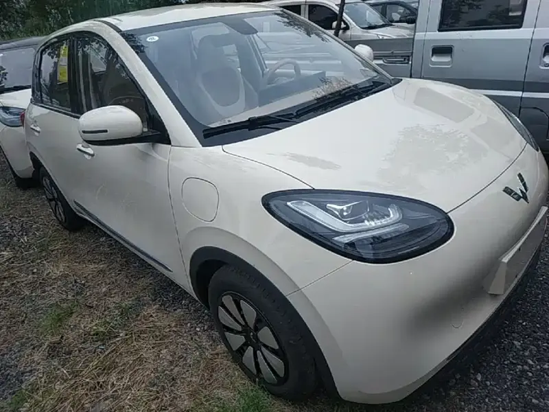 Wuling Bingo