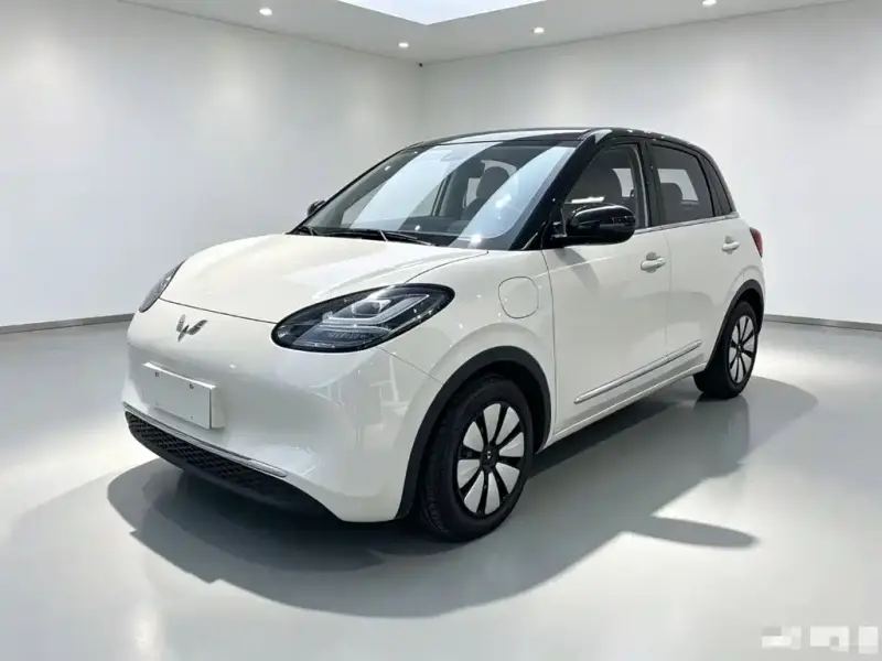 Wuling Bingo