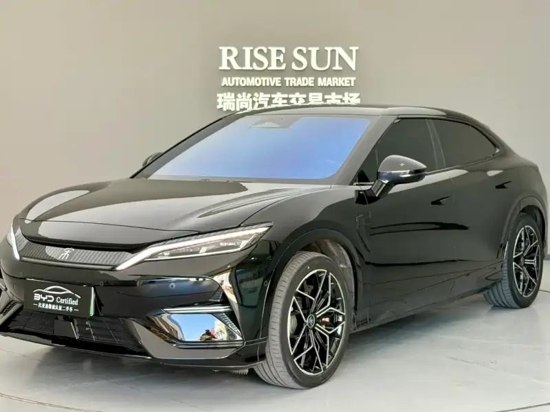 BYD L EV