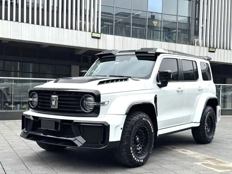 Tank 300