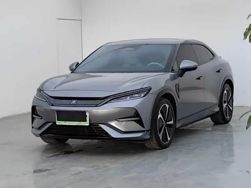 BYD L EV