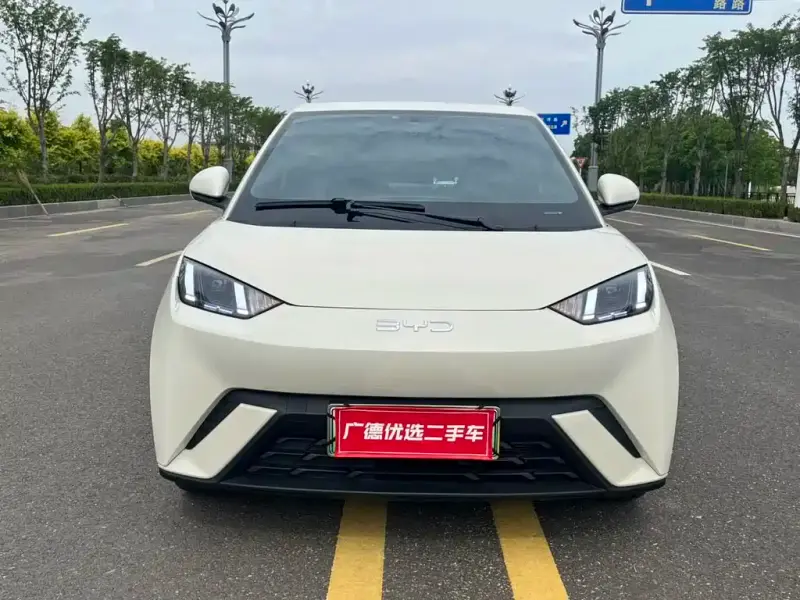 BYD Seagull