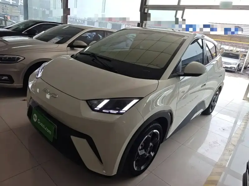 BYD Seagull