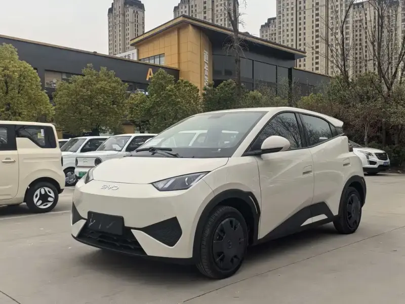 BYD Seagull