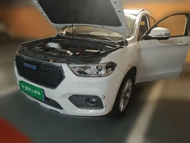 Haval H2