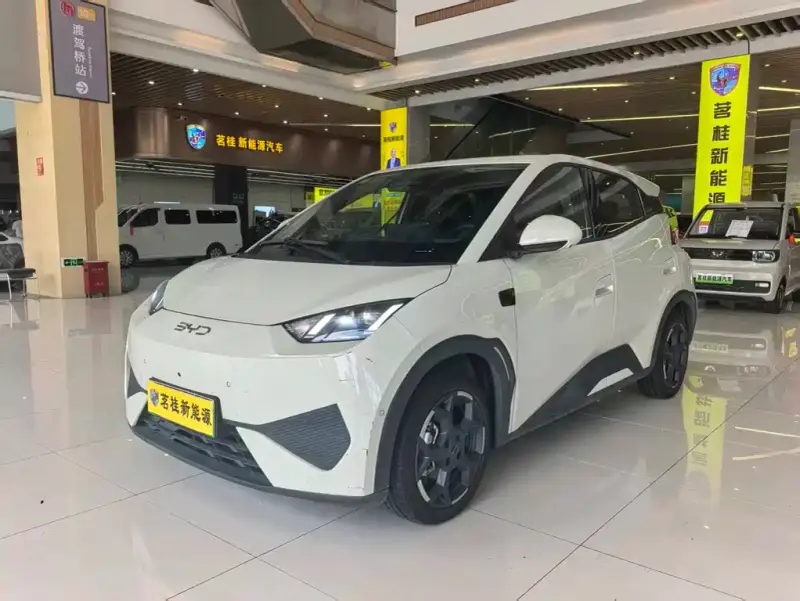 BYD Seagull
