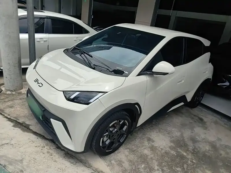 BYD Seagull