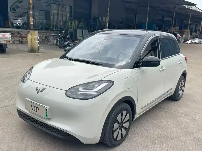 Wuling Bingo