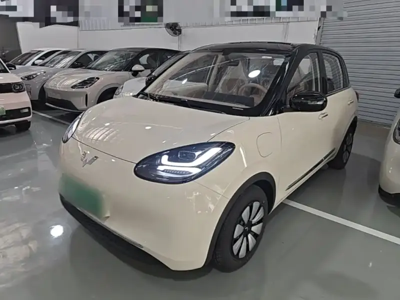 Wuling Bingo