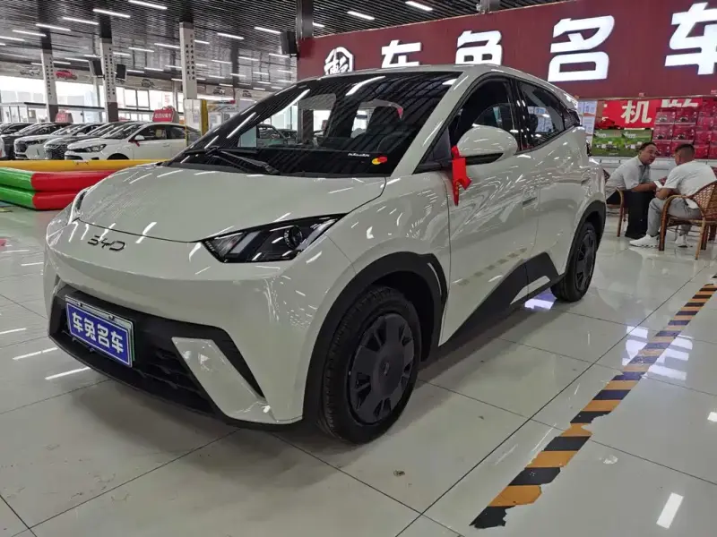 BYD Seagull