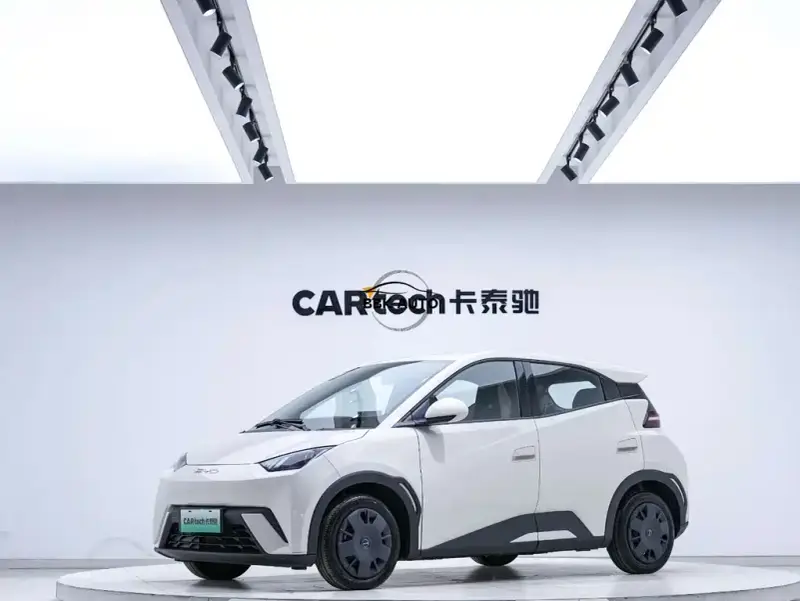 BYD Seagull