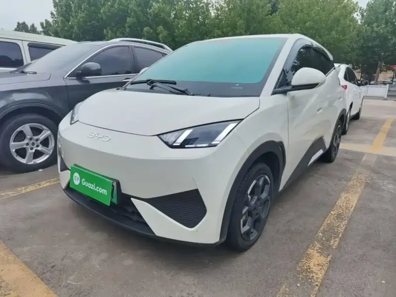 BYD Seagull