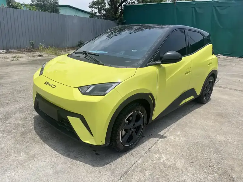 BYD Seagull