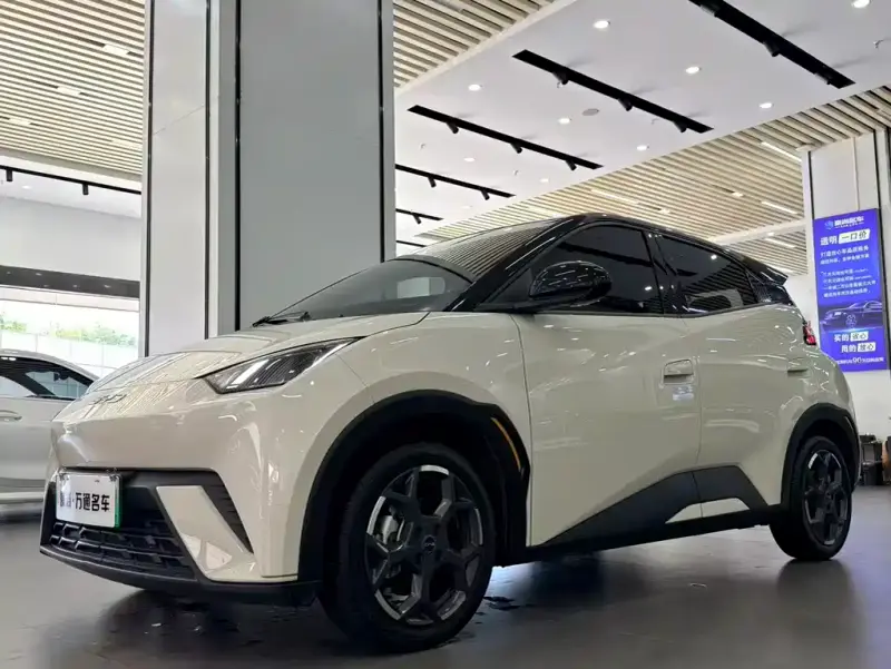 BYD Seagull