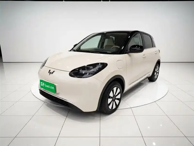 Wuling Bingo