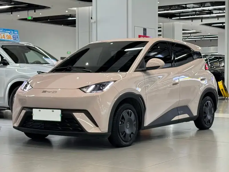BYD Seagull