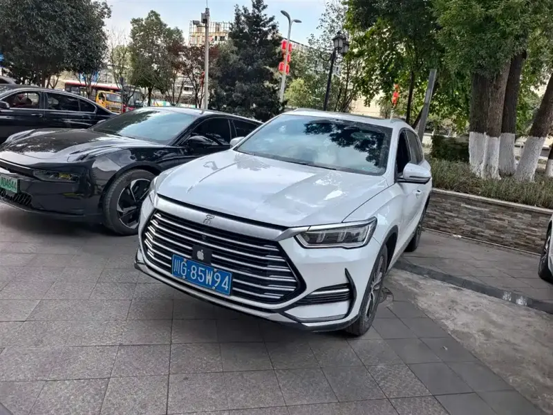BYD Pro