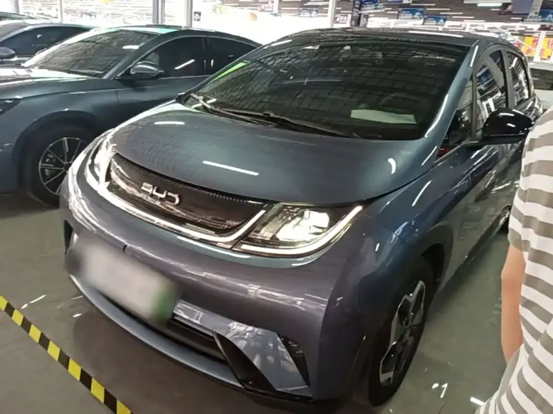 BYD Dolphin