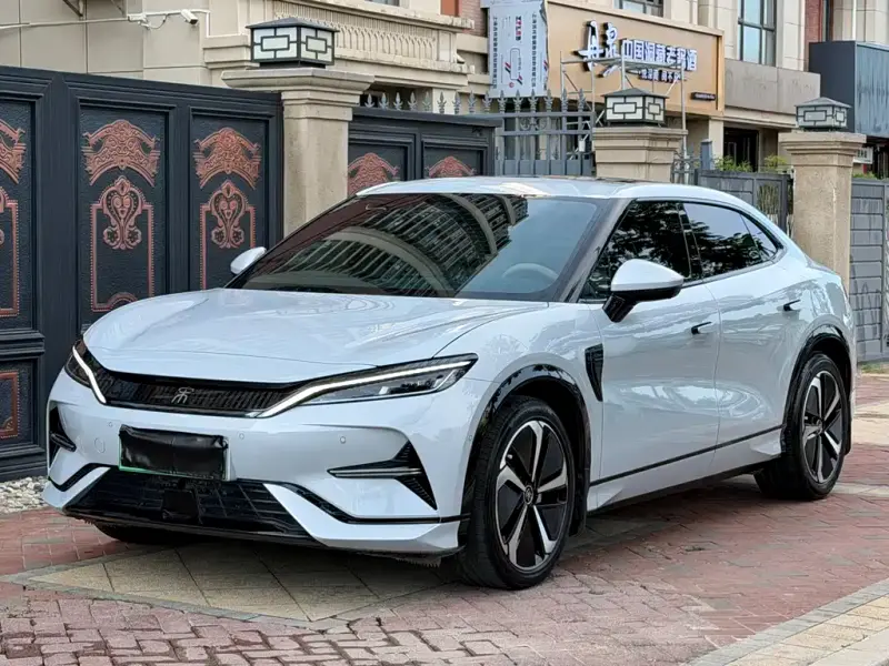 BYD L EV