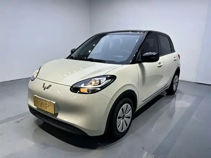 Wuling Bingo