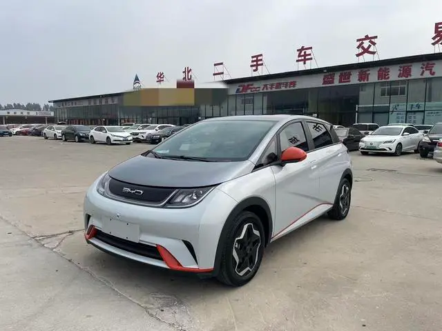 BYD Dolphin