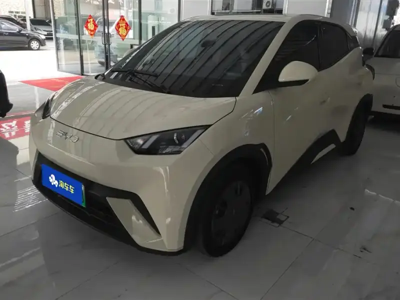 BYD Seagull