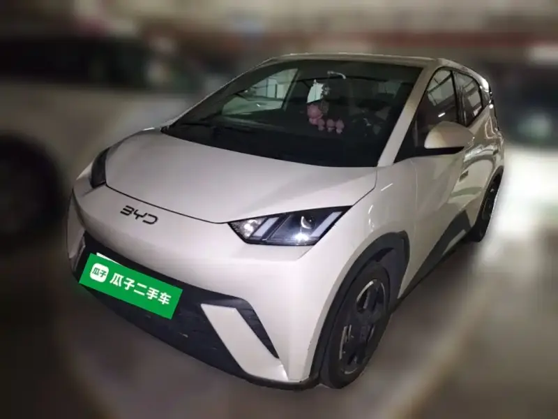 BYD Seagull
