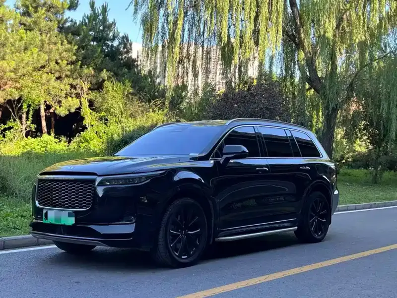 Li Auto ONE