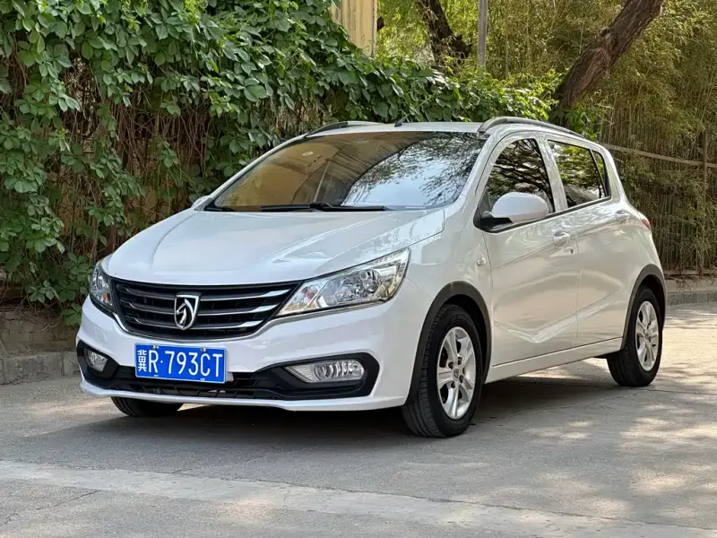Baojun 310