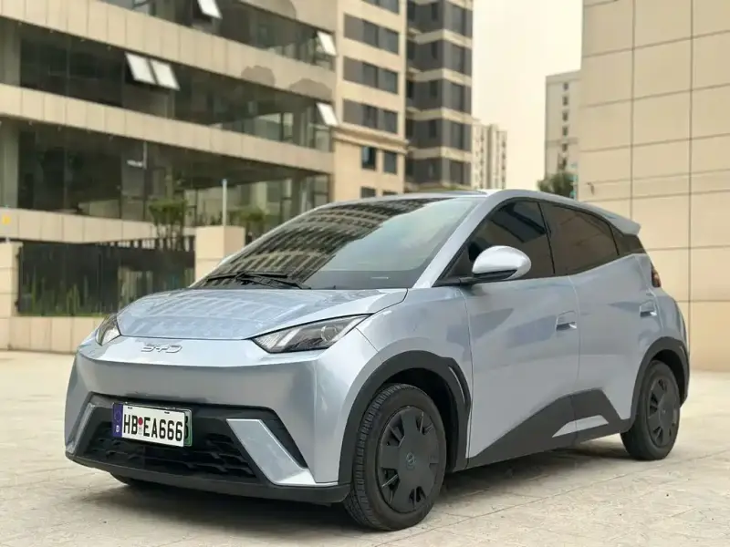 BYD Seagull