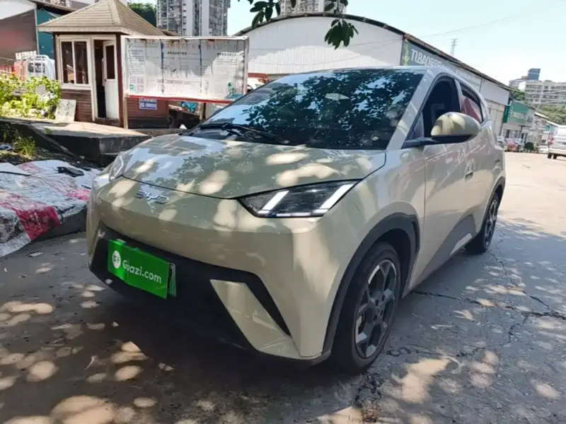 BYD Seagull
