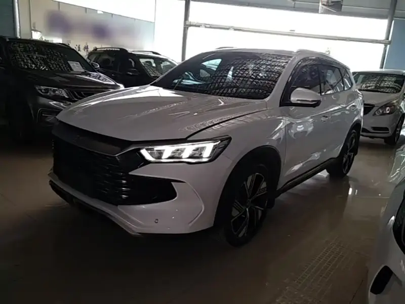 BYD Pro New Energy