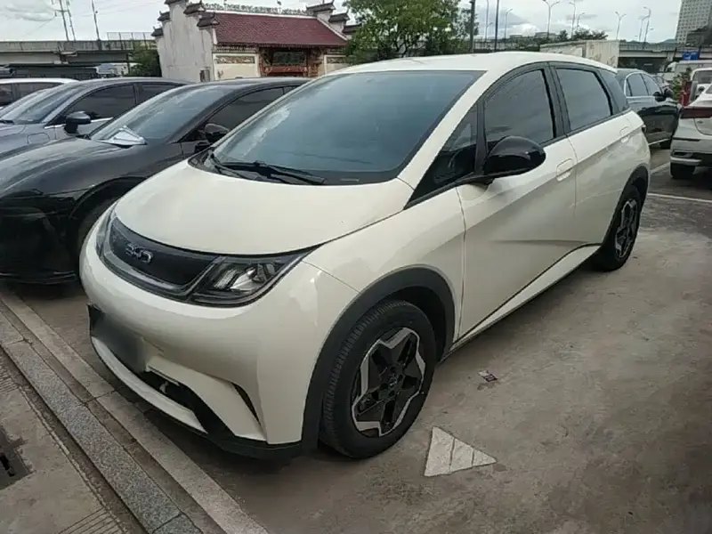 BYD Dolphin