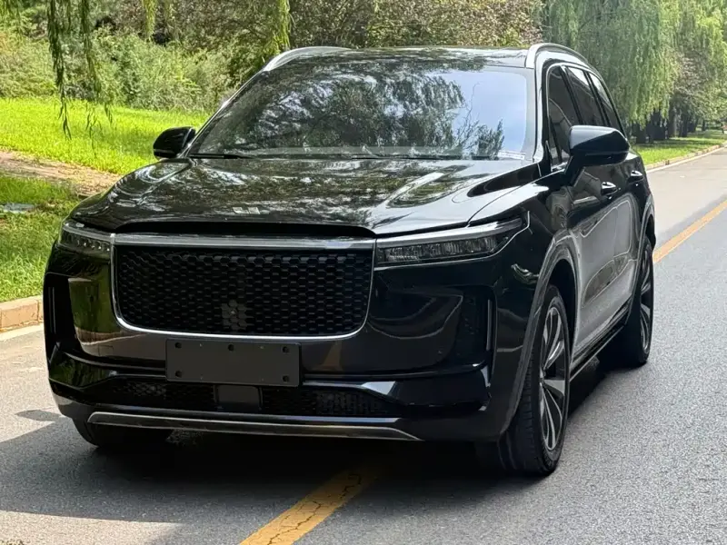Li Auto ONE