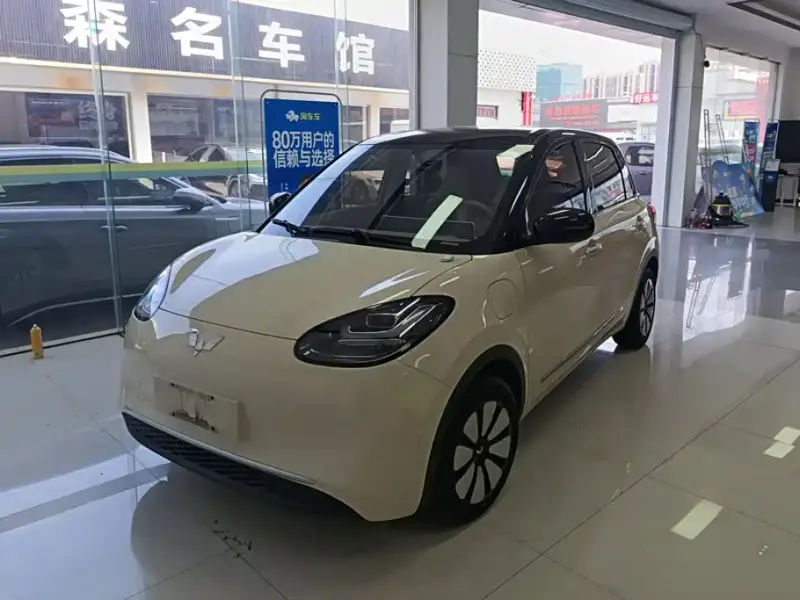 Wuling Bingo