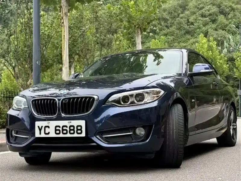 BMW 2 Series (Import)