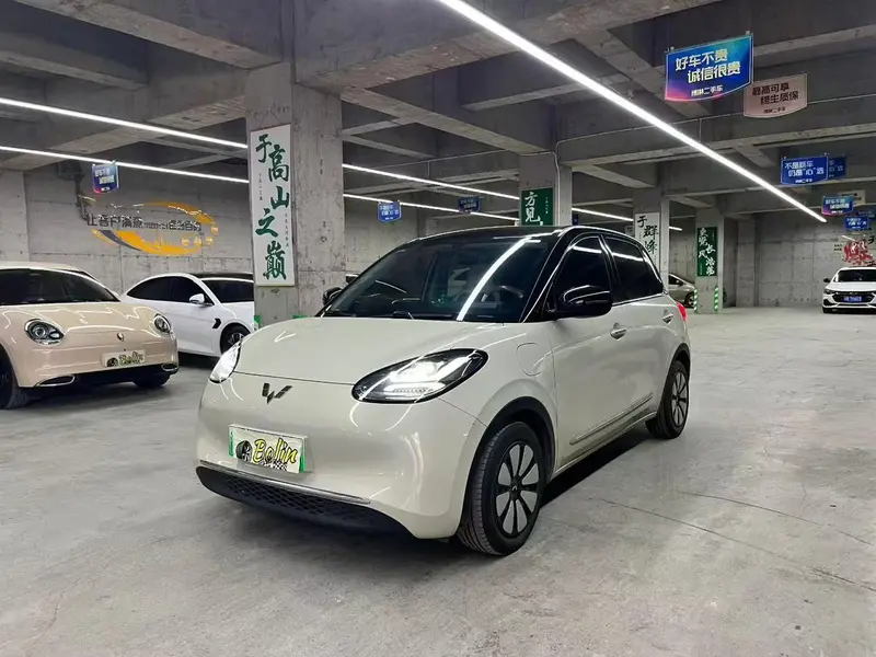 Wuling Bingo