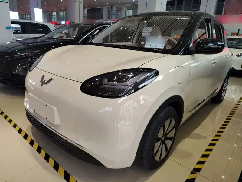 Wuling Bingo