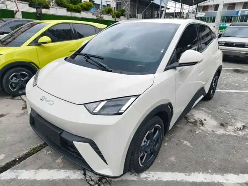 BYD Seagull